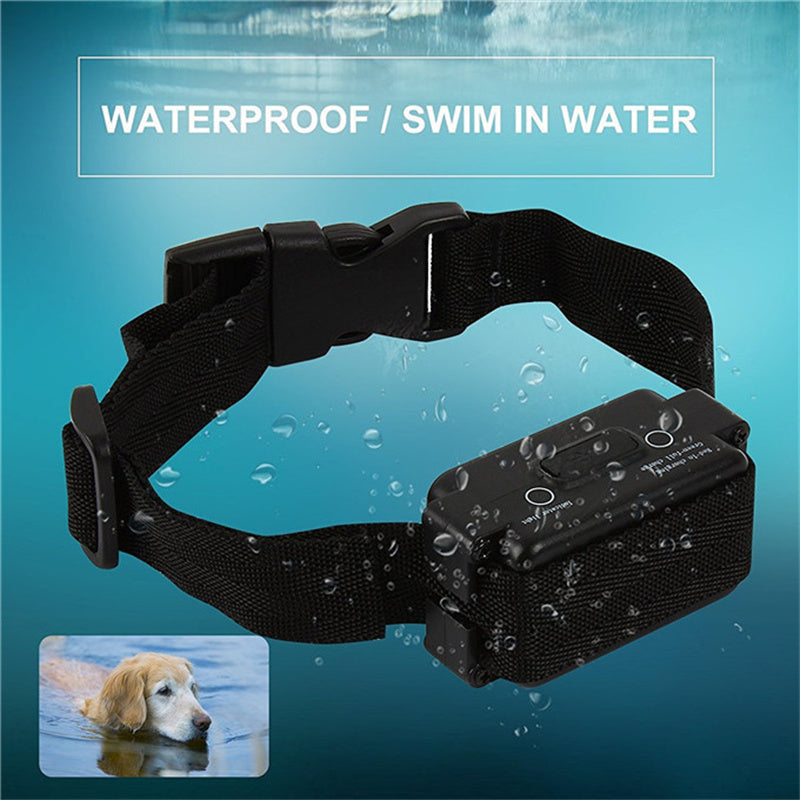 Dog Training System — Train Smarter, Not Harder