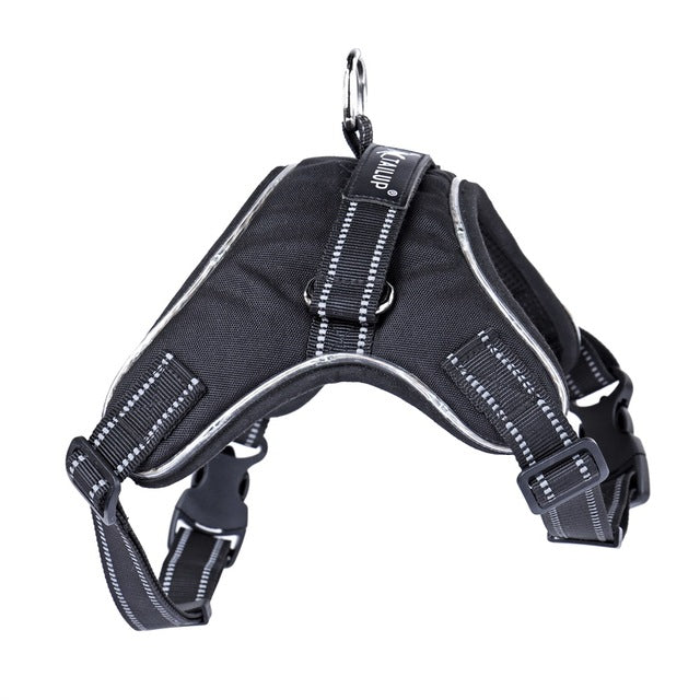LED Night Safety Harness — Be Seen. Stay Safe.