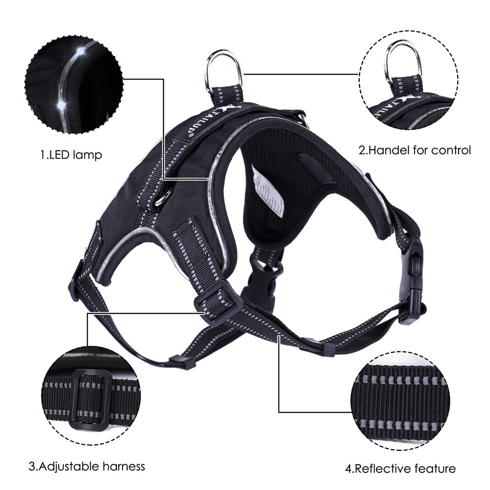 LED Night Safety Harness — Be Seen. Stay Safe.