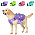 Dog Life Jacket with Rescue Handle — Water Safety You Can Count On