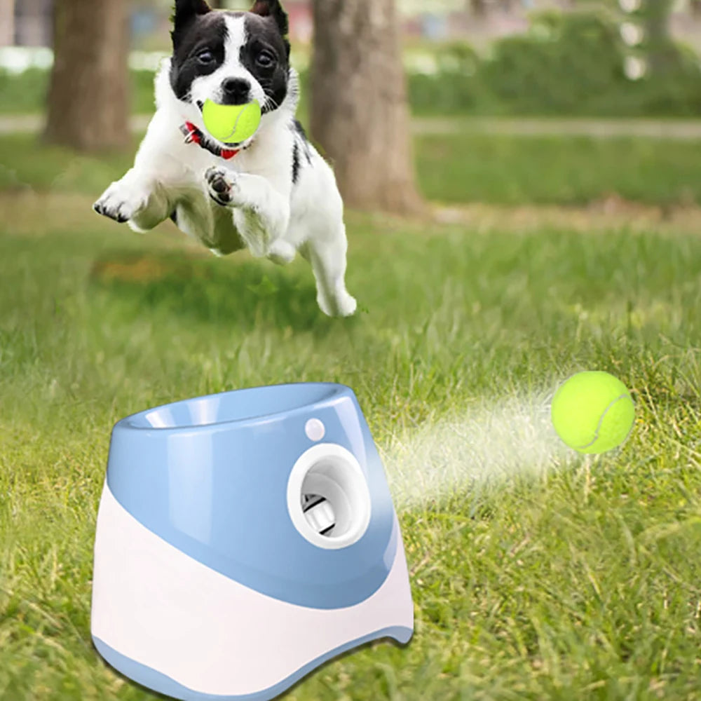 Automatic Tennis Ball Launcher — Fetch, Without the Arm Pain