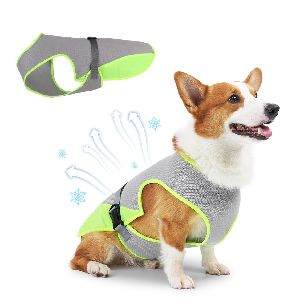 Evaporative Cooling Vest — Stop Summer Heat Before It Stops Your Dog