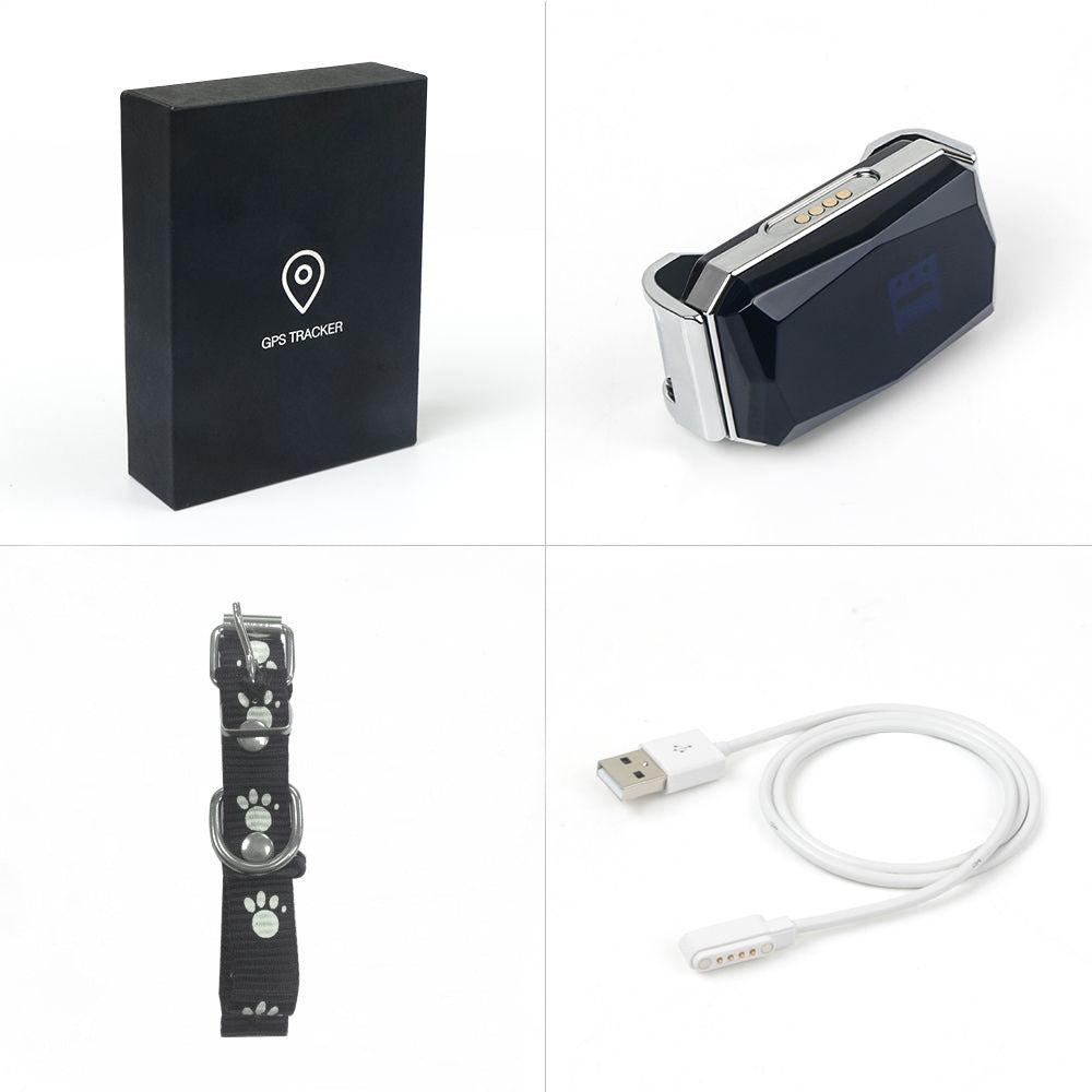GPS Pet Tracker — Know Exactly Where Your Dog Is, Always