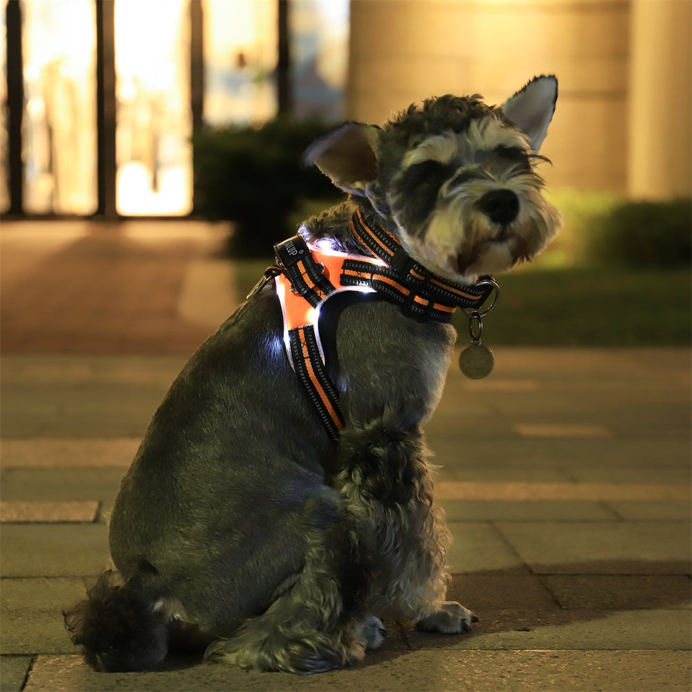 LED Night Safety Harness — Be Seen. Stay Safe.