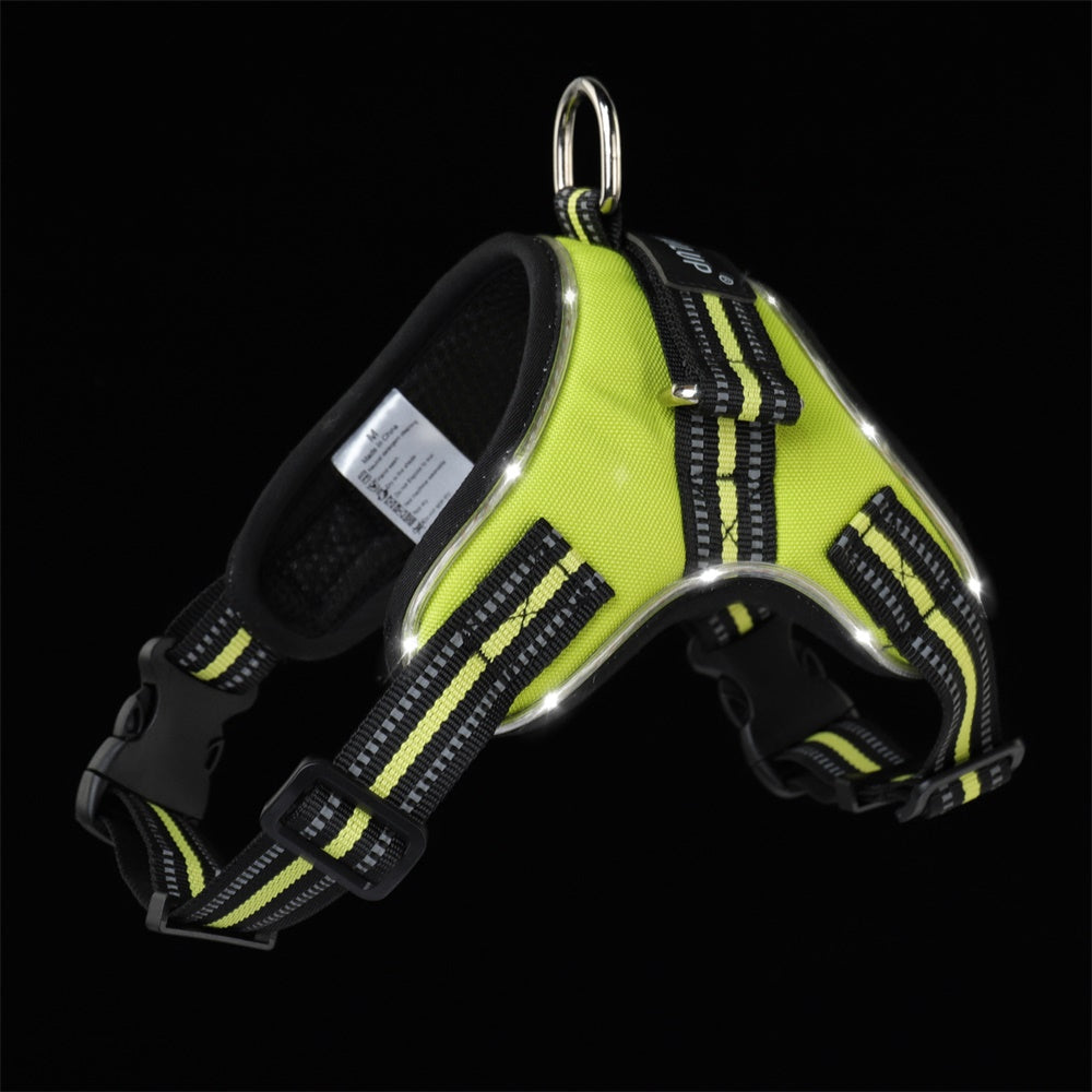 LED Night Safety Harness — Be Seen. Stay Safe.