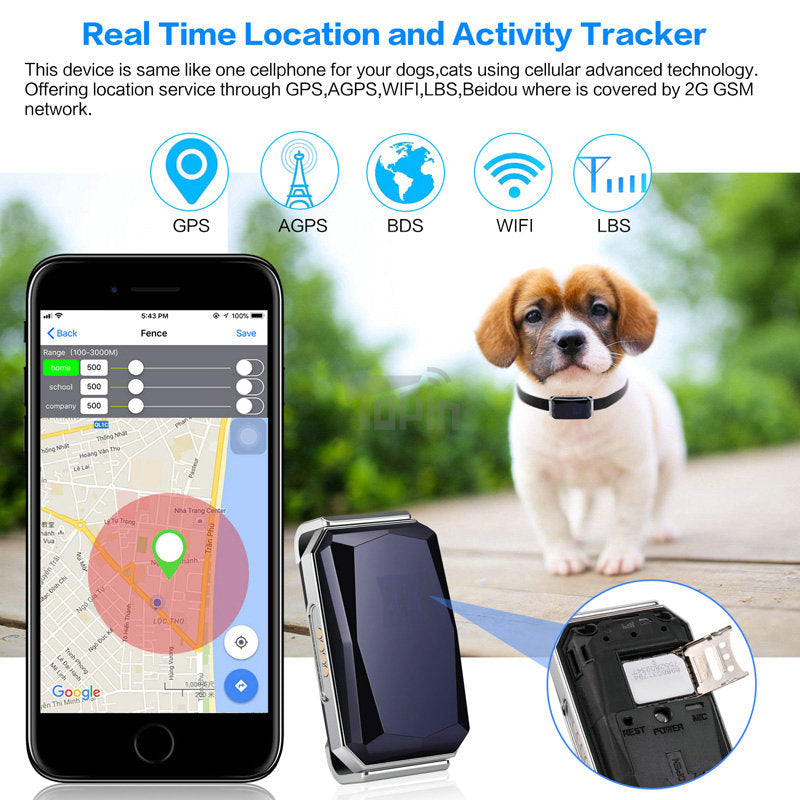 GPS Pet Tracker — Know Exactly Where Your Dog Is, Always