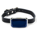 GPS Pet Tracker — Know Exactly Where Your Dog Is, Always