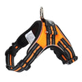LED Night Safety Harness — Be Seen. Stay Safe.