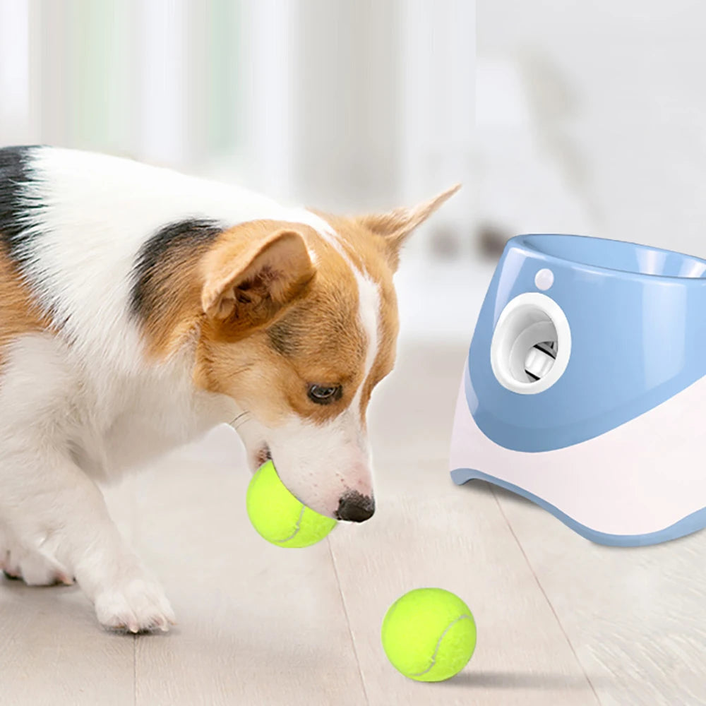 Automatic Tennis Ball Launcher — Fetch, Without the Arm Pain